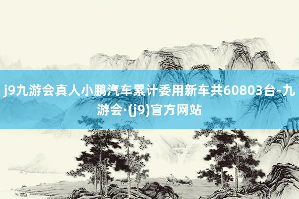 j9九游会真人小鹏汽车累计委用新车共60803台-九游会·(j9)官方网站